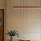 ZETA Pendant Light (Treaty)
